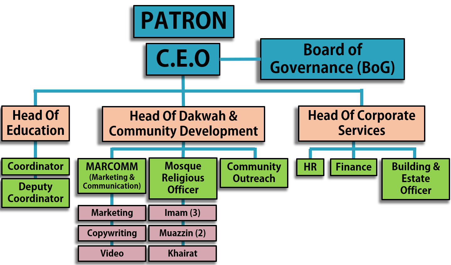 MPH Organisation Chart